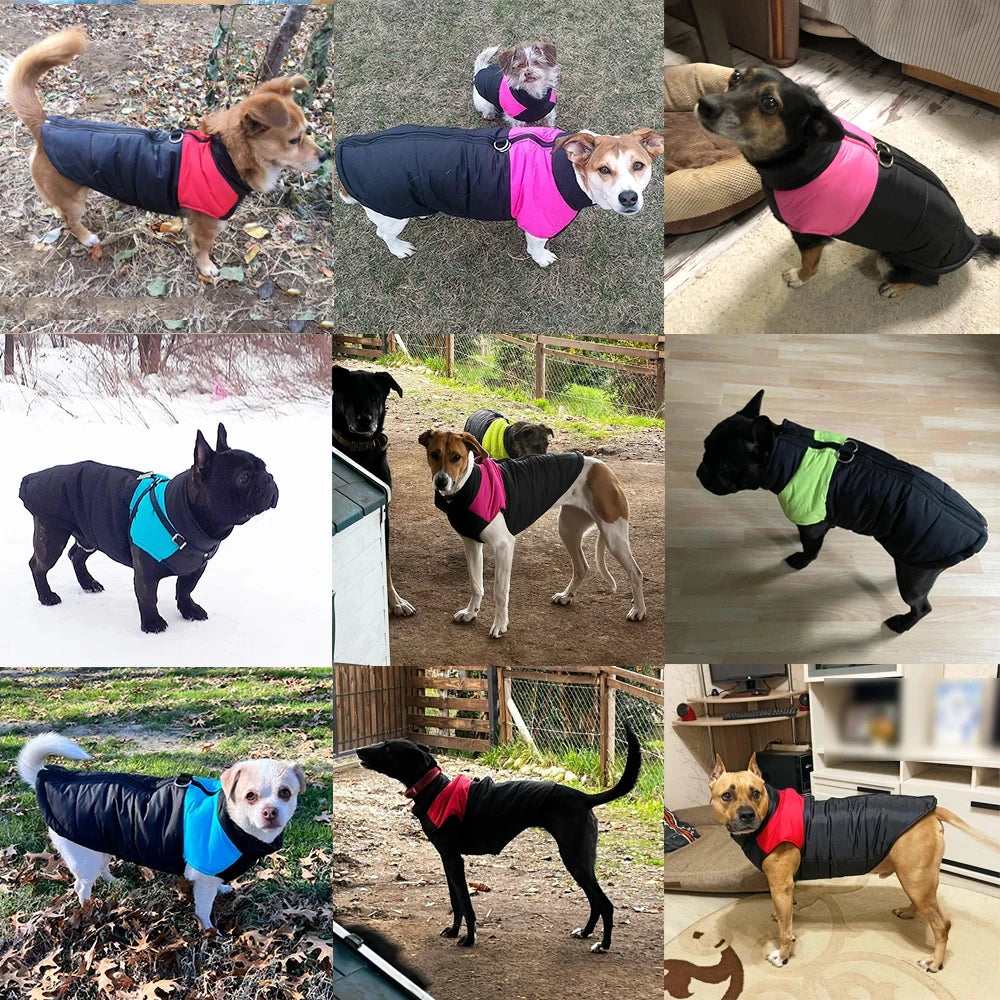 Manteau d'Hiver pour Chien