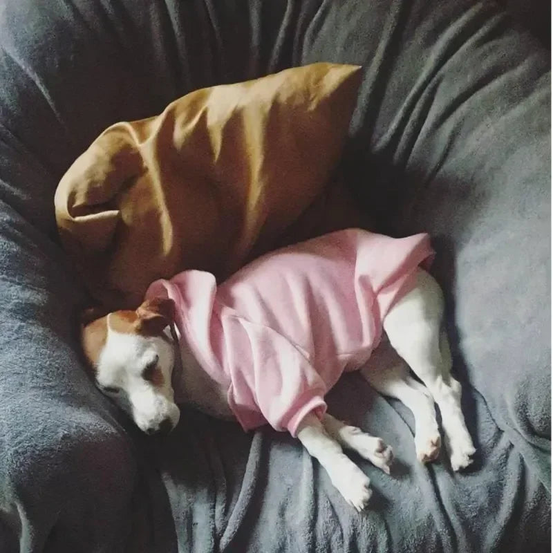 Sweat à Capuche pour Chien "THE DOG FACE"